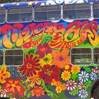 Magic Bus, Byron Bay